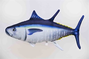 GABY FISH ATLANTIC BLUEFIN THUNNUS THYNNUS 66cm