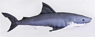 GABY FISH CARCHARODON CARCHARIAS 53cm